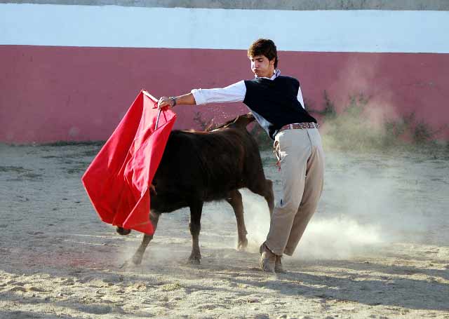 En otra vaca, dando el pase cambiado por la espalda.