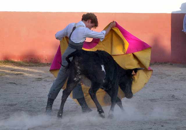 Tomás Angulo, por tafalleras.