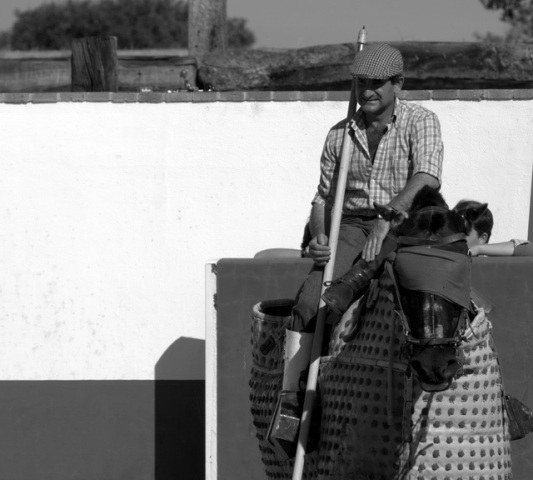 Benjamín, el picador, pendiente de la lidia. Su participación en la tienta es fundamental.