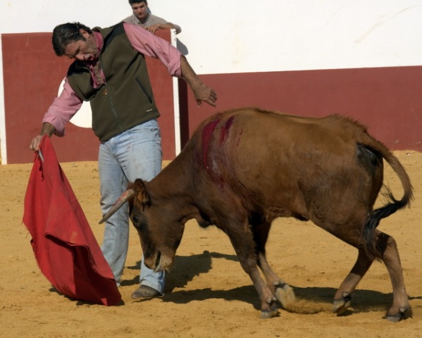 Encajado, marca el recorrido a la erala.