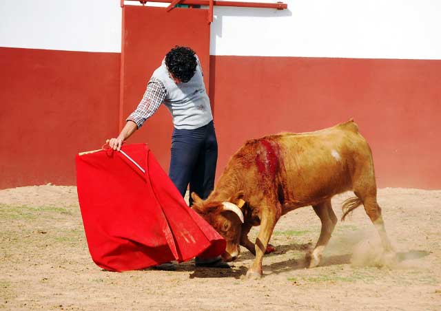 Obligándole a humillar mucho y emplearse en las telas.