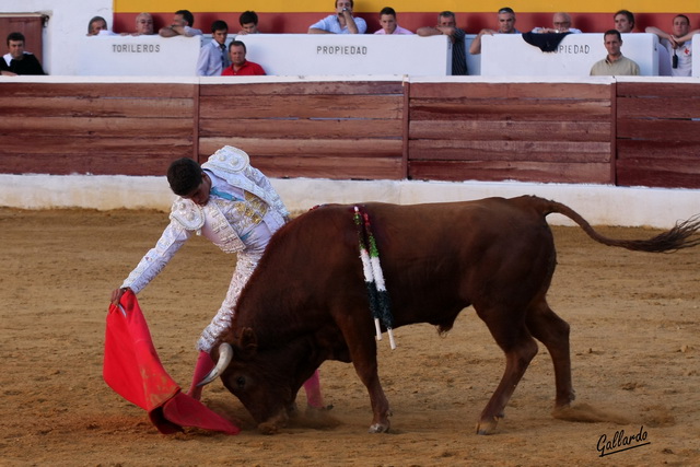 Rafael Cerro en su despedida de becerrista en Zafra. (FOTO:Gallardo)