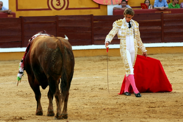 Julio Parejo en su debut como matador en la plaza de Badajoz. (FOTO:Gallardo)