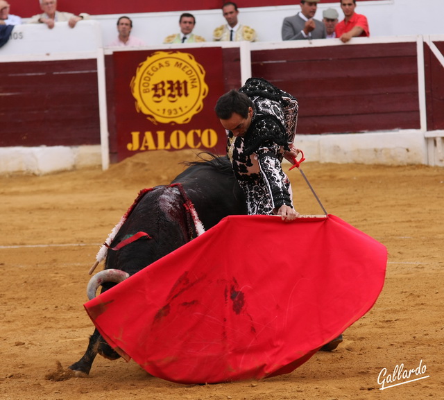 Natural de El Cid al toro 'Currito' de Núñez del Cuvillo. (FOTO: Gallardo)