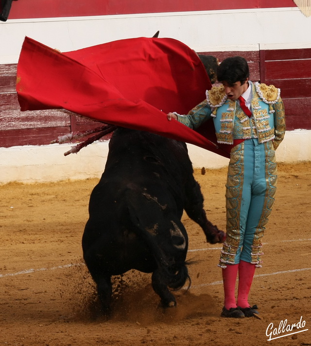 Talavante toreando por manoletinas en la pasada feria de Zafra. (FOTO:Gallardo)