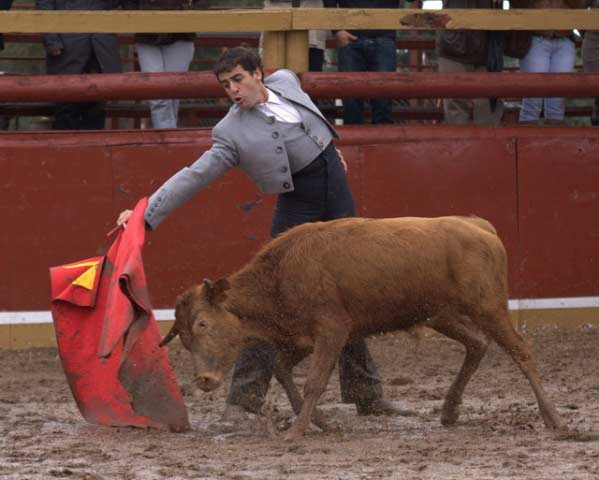 Fernando González toreando en redondo al primer novillo de la matinal. (FOTO:Gallardo)