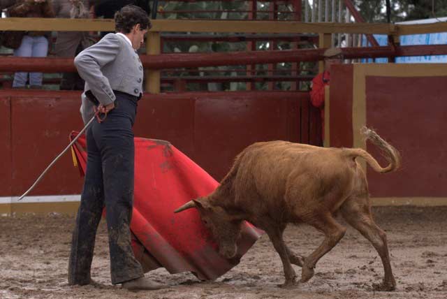 Al natural estuvo muy firme en este novillo.