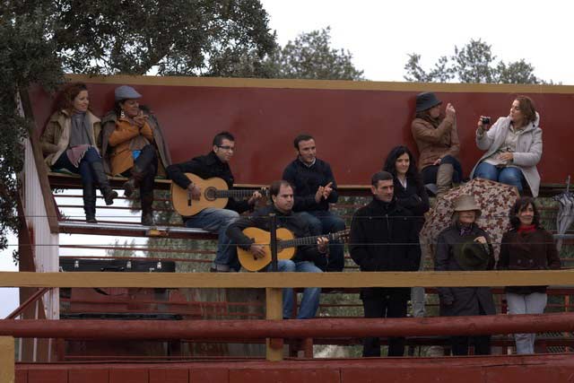 El cante, el toque, las palmas....y las fotógrafas.