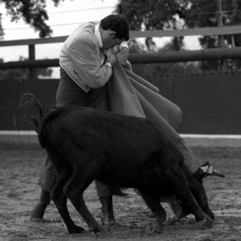 Diego Ferrera toreó con mucha despaciosidad con el capote.