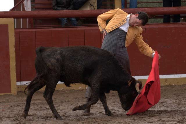 Toreo cadencioso de Diego Ferrera. (FOTO:Gallardo)