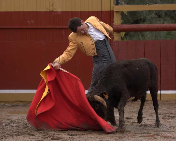 Idéntica a la mostrada con la muleta.