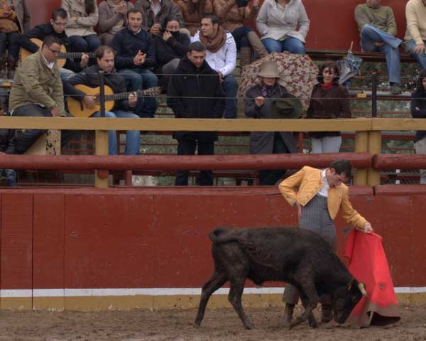 Y la cadencia nace de sus muñecas.