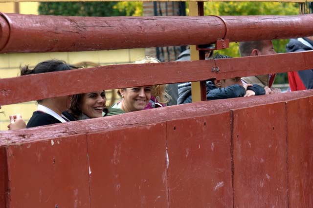 Los toros desde la barrera se ven muy distintos.