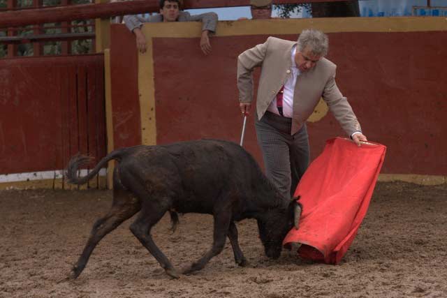 Pepe 'Marchivirito' toreando al natural. (FOTO:Gallardo)