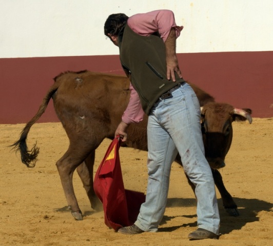 A las vacas hay que exprimirlas al máximo para que den toda su jugo.