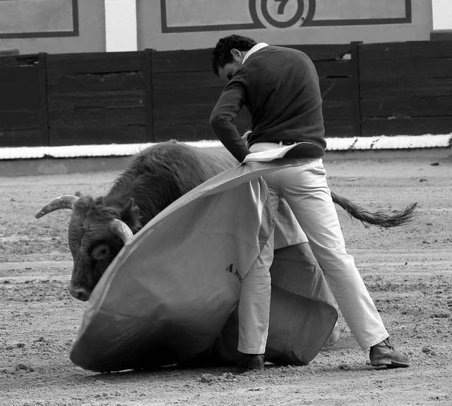 La verónica de Ambel, tanto entera como media, siempre es de cartel de toros.