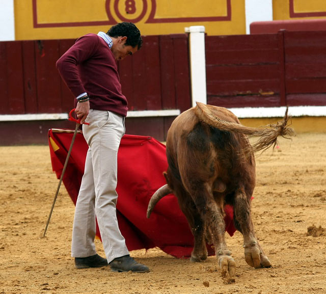 Por ahí se rompió el torero regalando naturales...