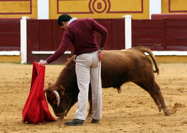 Y el animal embistiendo humillado.