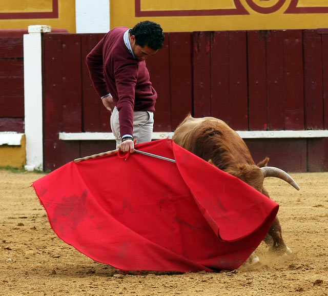 La expresión del muletazo calando hondo en el tendido.