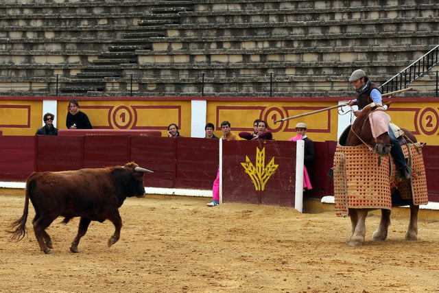 'El Fini' quiso probar qué se siente picando...