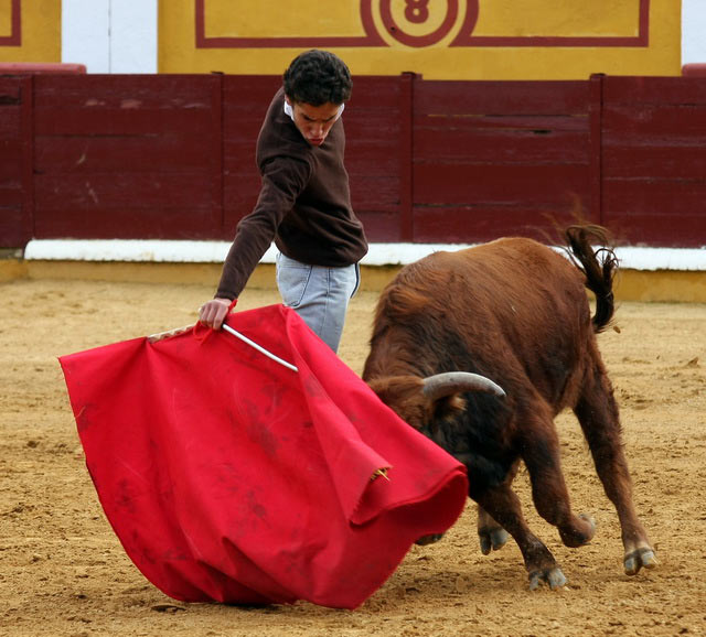 Cimbreó la cintura para alargar el tranco del animal.