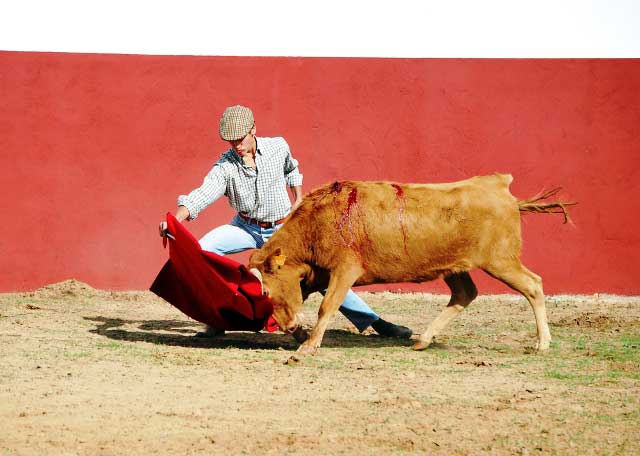 Posada de Maravillas en posición genuflexa.