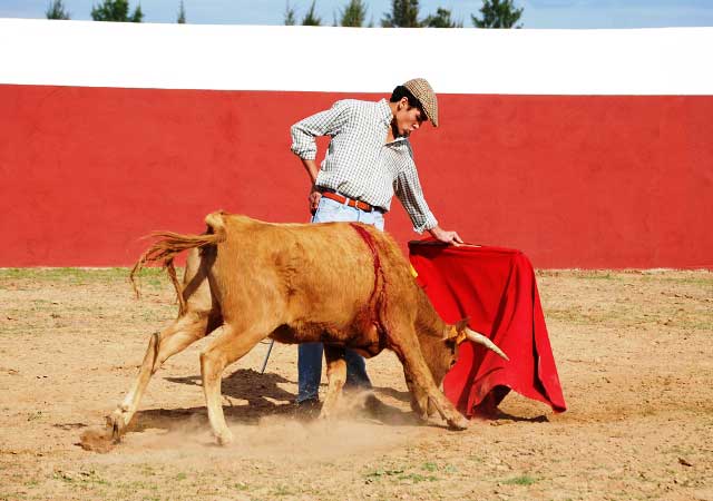 Tiene mimbres mayestáticos el menor de los Posada.