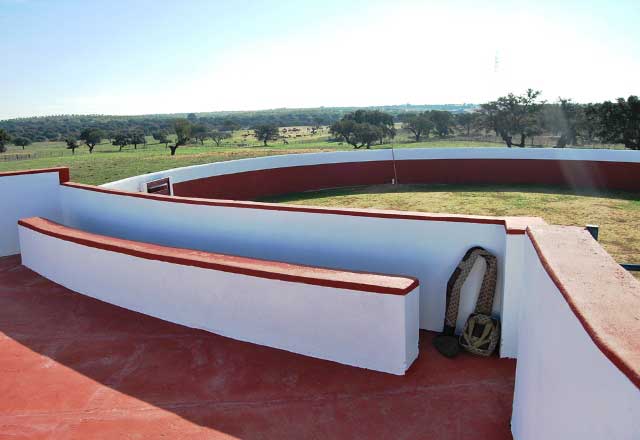 Aspecto que presenta la coqueta plaza de tientas de 'Vistalegre'. (FOTO: Fco. J. Campos)