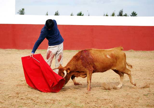 El temple de Silva y de la erala se palpan en la instantánea de Campos.