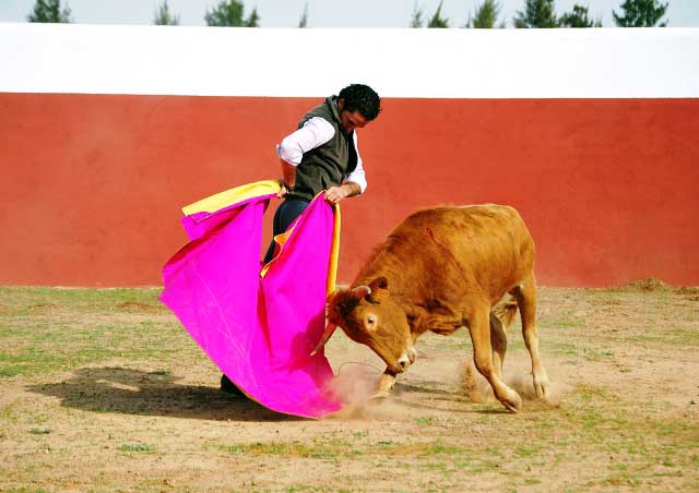 Ambel Posada abrocha la media con su característico gusto.