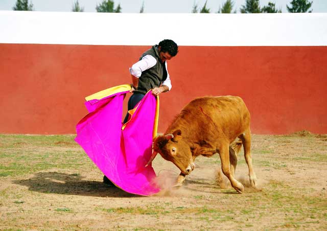 Ambel Posada abrocha la media con su característico gusto.