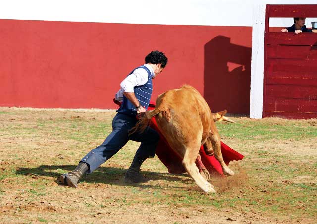 Tauromaquia personalísima de Ambel Posada.