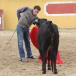 copia-de-img_2348