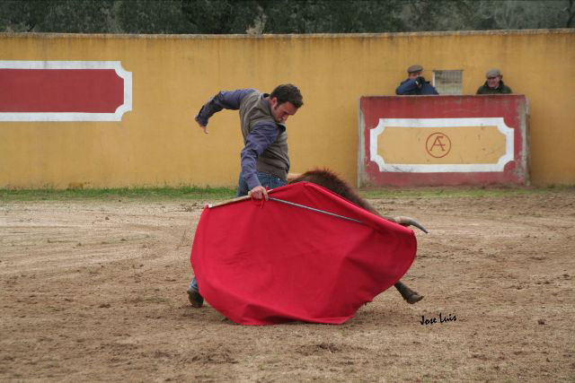 Encajado de riñones, gustándose en el derechazo.