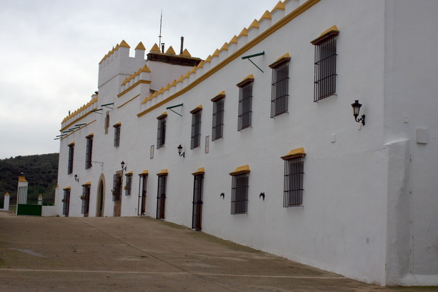 Desde la atalaya de un cortijo depositario del misterio de la bravura.