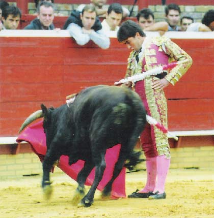 En la plaza de Huelva muleteando a un novillo. (FOTO: Cedida por el torero)