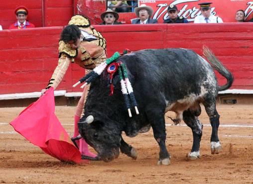 Miguel Ángel Perera muleteando a su primer antagonista. (FOTO: Emilio Méndez/Burladero.com)