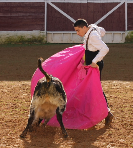 Sergio Blázquez lanceando a la cuarta vaca.