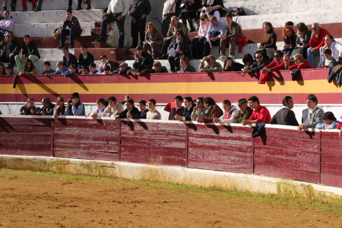 El callejón y las gradas presentaban una interesante agitación.