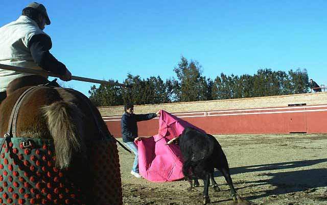 Fernando González sacando del peto a un macho del hierro de 'El Capea' durante el tentadero.