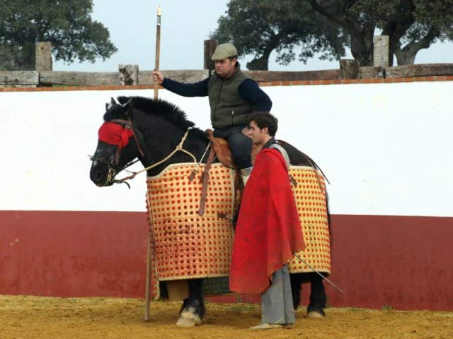 Tulio observa el estado de la vaca tras someterse a la prueba del caballo.