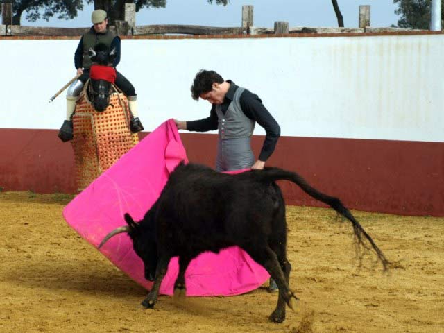 Suavidad de Tulio a la hora de lancear a la erala.