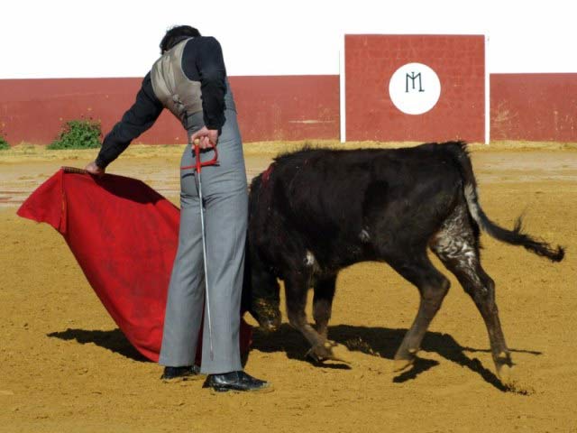 Al natural, componiendo la figura, ejecuta el toreo supremo.