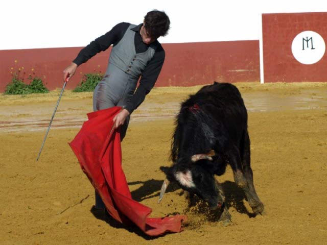 La trincherilla remata la serie de naturales.