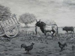 Bravura en el toro y en los gallos. (Cuadro de Fernando Naranjo)