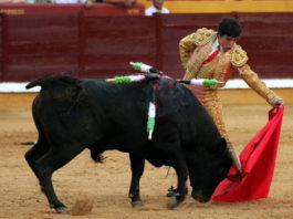 Rubén Lobato toreando al natural en la pasada feria de Badajoz. (FOTO:Gallardo)