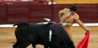 Rubén Lobato toreando al natural en la pasada feria de Badajoz. (FOTO:Gallardo)