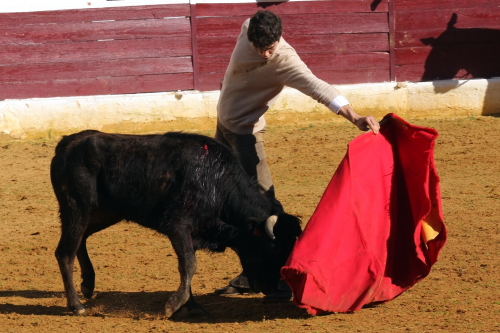 A la segunda vaca salió Jesús Martínez.