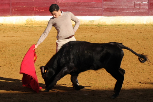 En esa vaca también actuó Miguel Gonçalves.