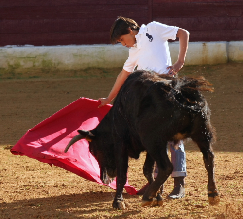 El peruano Roca Rey, recien aterrizado, intervino en la vaca tercera.